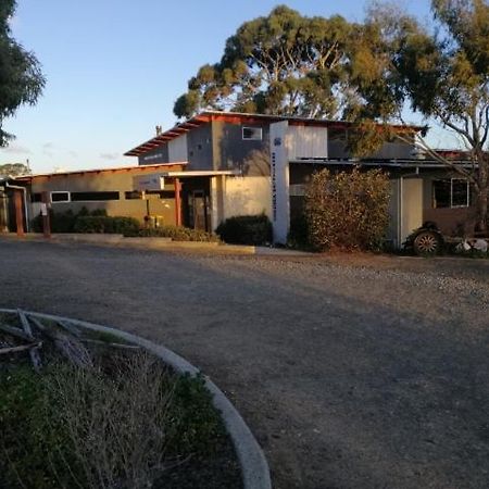Swansea Backpacker Lodge Екстер'єр фото