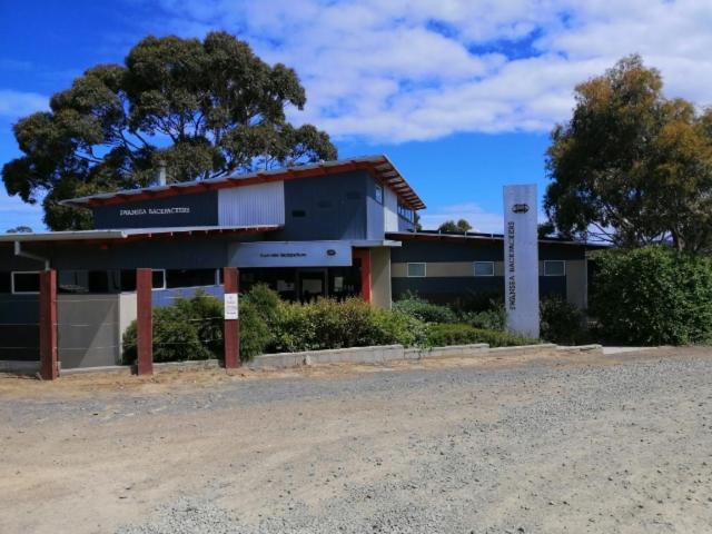 Swansea Backpacker Lodge Екстер'єр фото